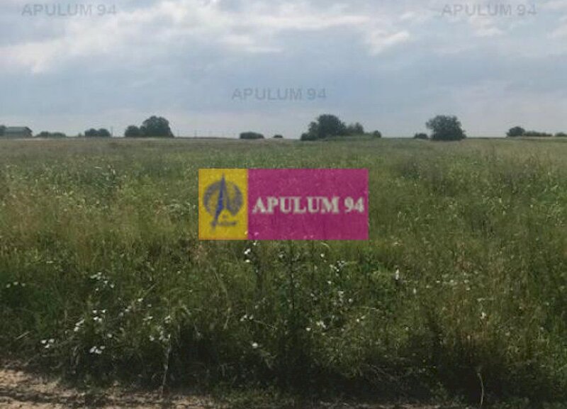 Teren Berceni- Tarla 16.